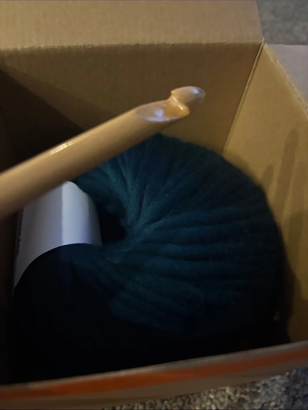 Cardigang Green Beanie - Women's Knit Crochet Hat Kit
